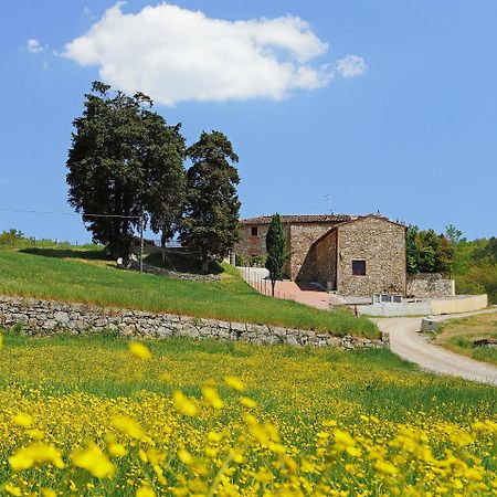 Holiday Home Locazione Turistica Selvapiana By Interhome 基安蒂格雷夫 外观 照片