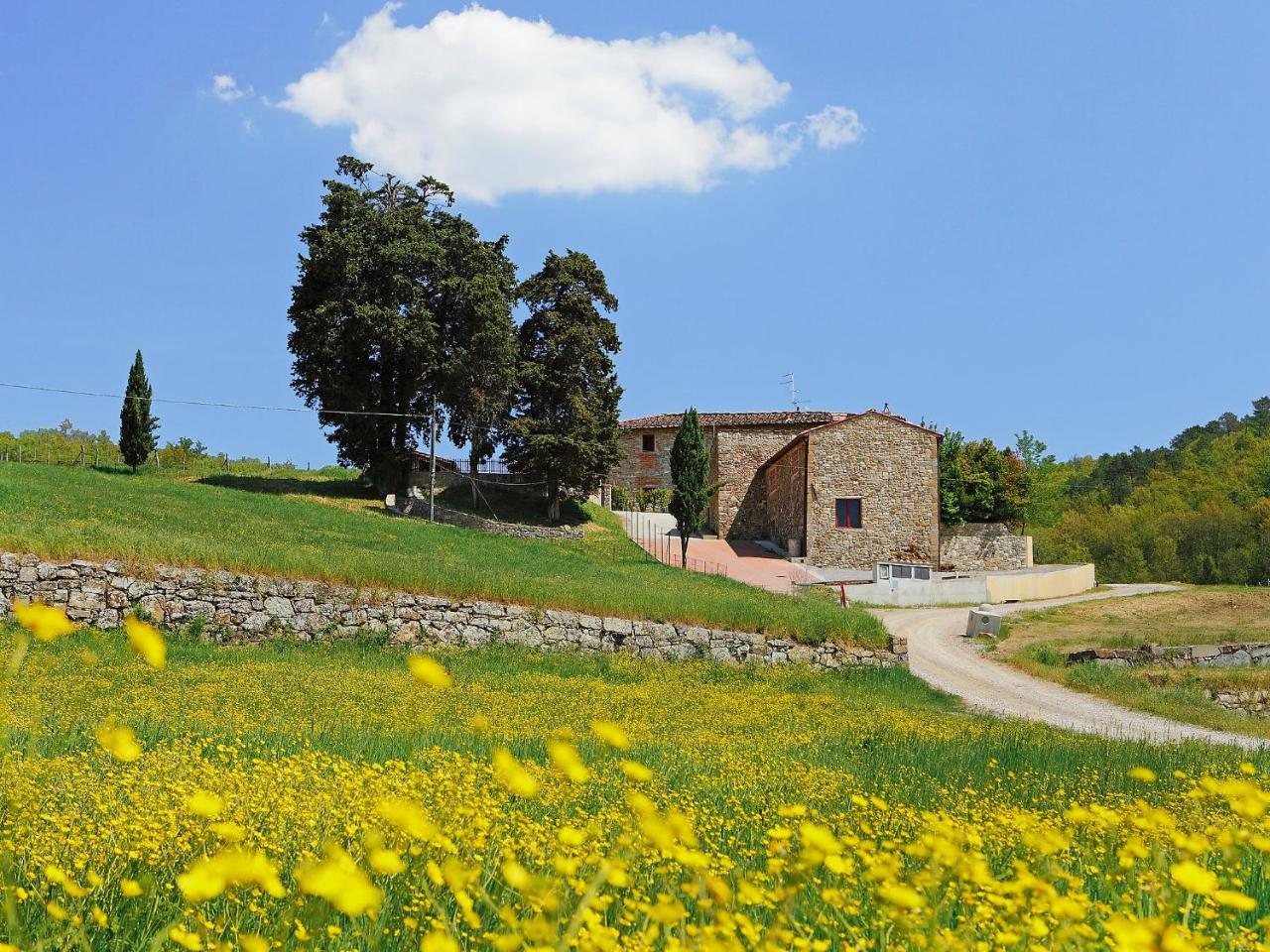 Holiday Home Locazione Turistica Selvapiana By Interhome 基安蒂格雷夫 外观 照片